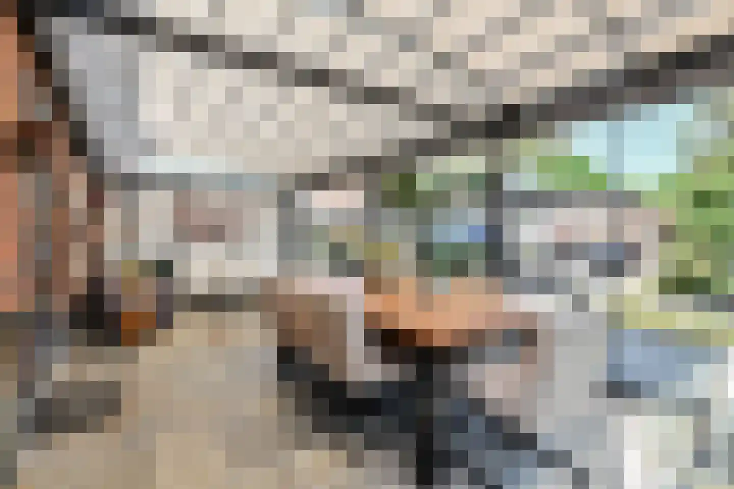 Wartnalaan 16 Den Haag thumbnail 11