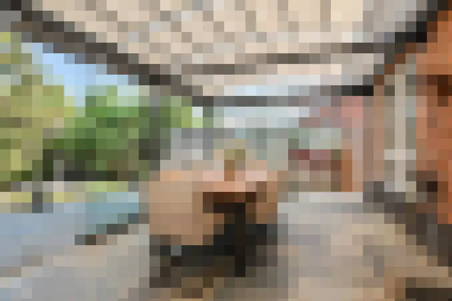 Wartnalaan 16 Den Haag thumbnail 12
