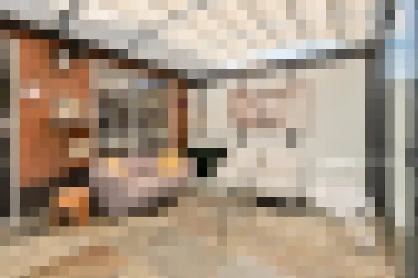 Wartnalaan 16 Den Haag thumbnail 13