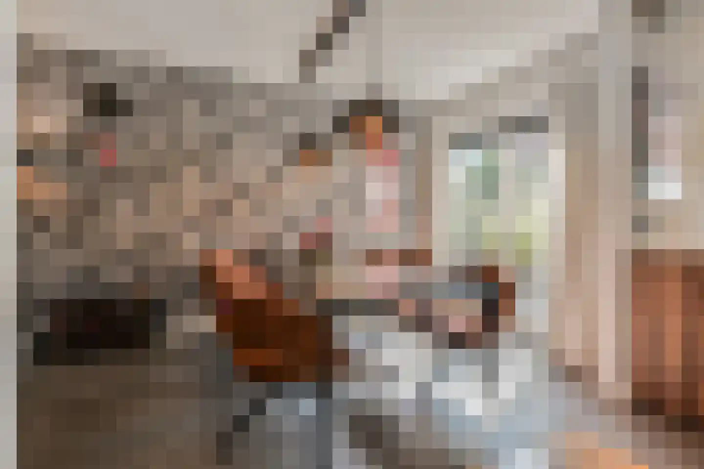 Wartnalaan 16 Den Haag thumbnail 14