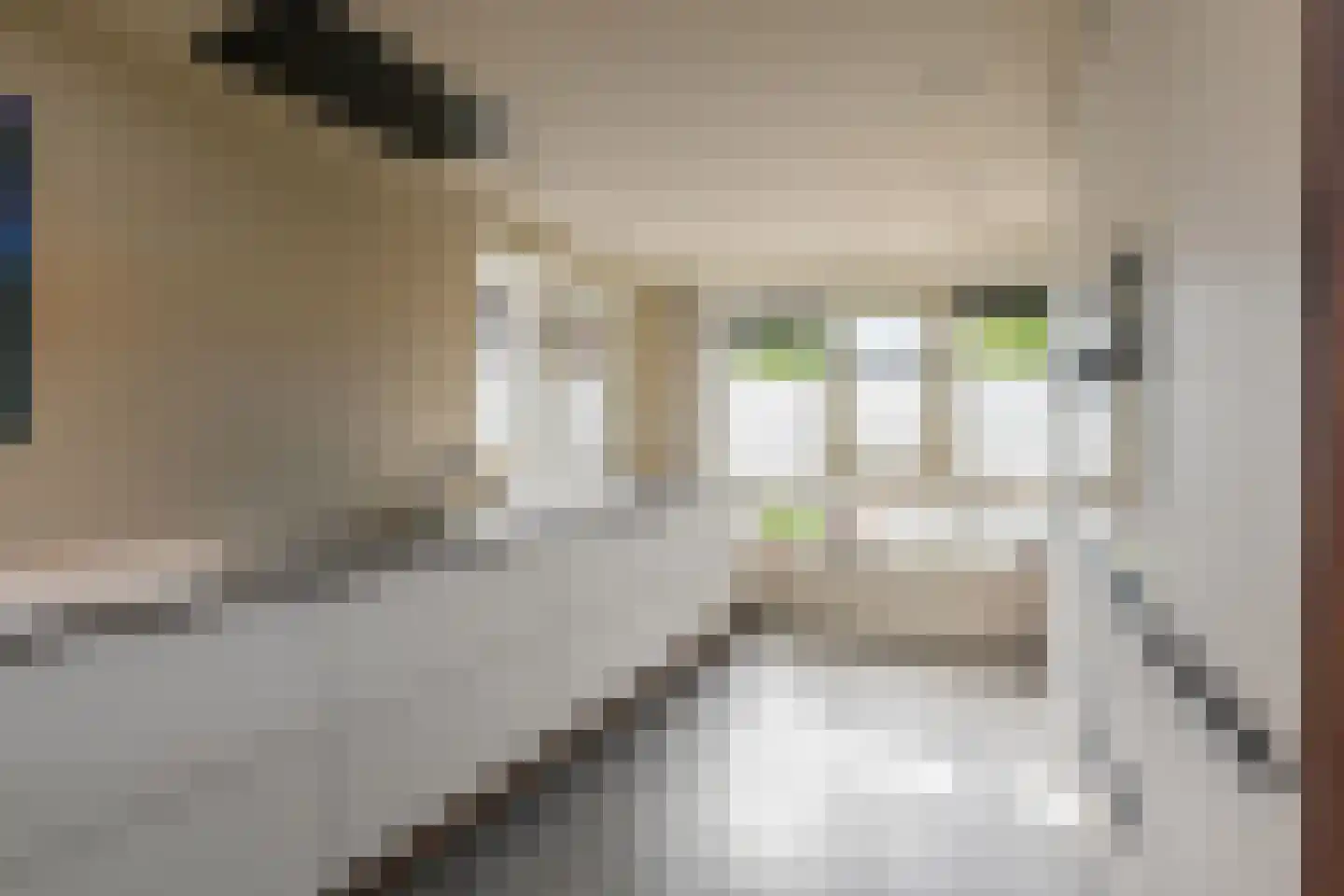 Wartnalaan 16 Den Haag thumbnail 17