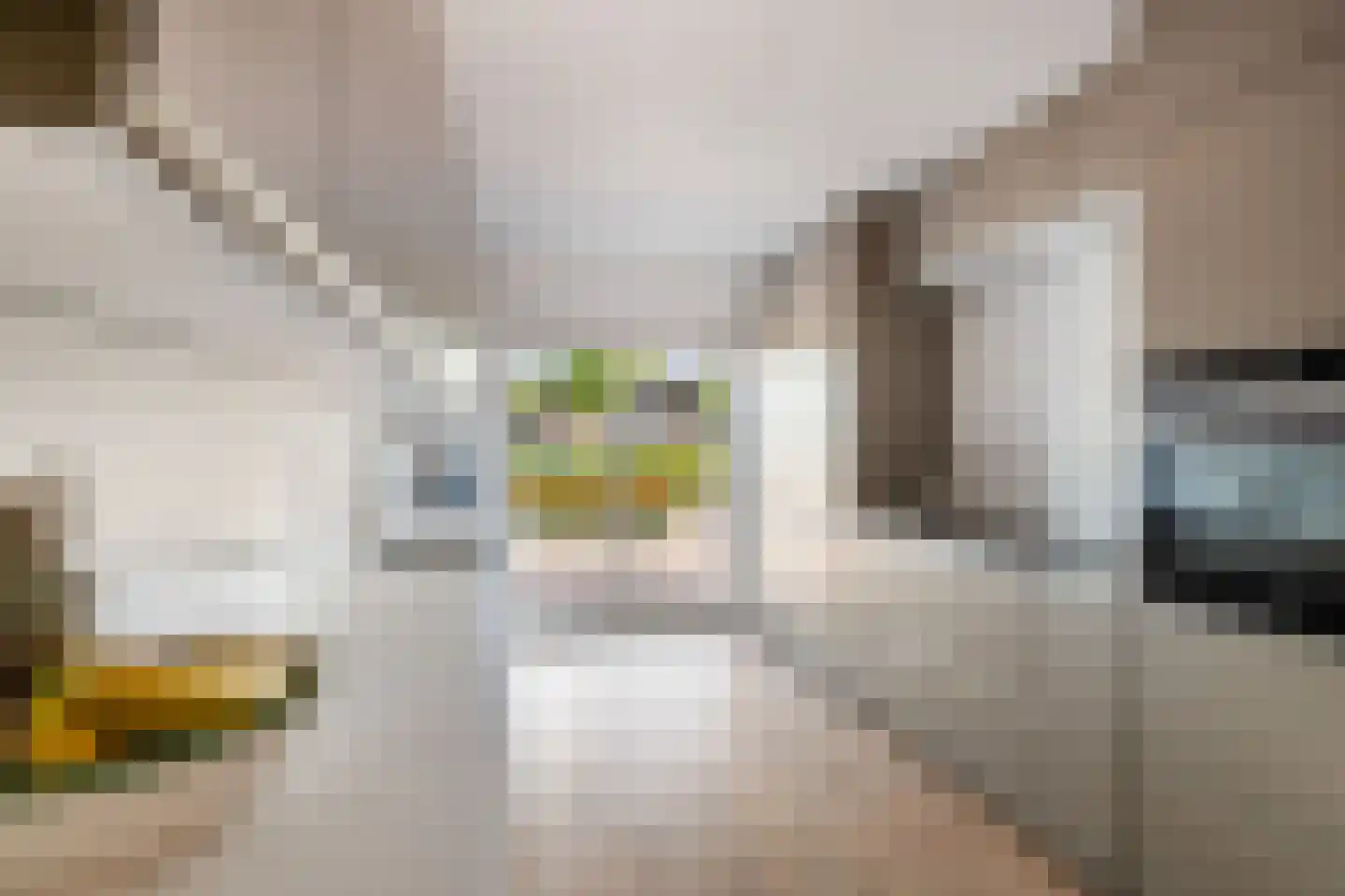 Wartnalaan 32 Den Haag thumbnail 12