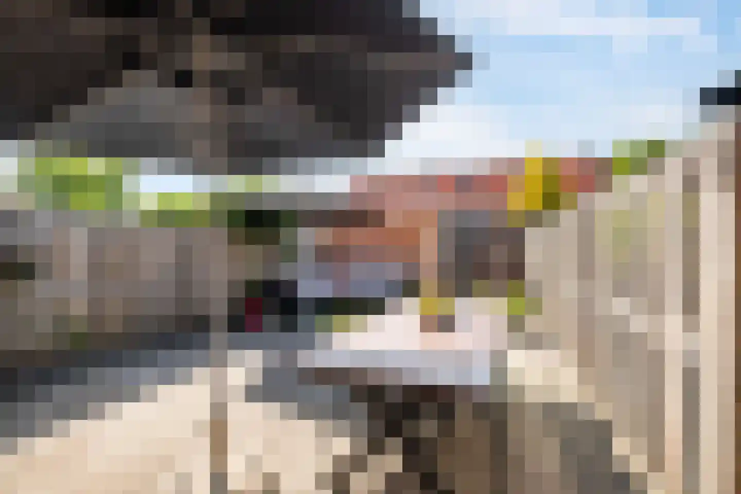 Wartnalaan 32 Den Haag thumbnail 15