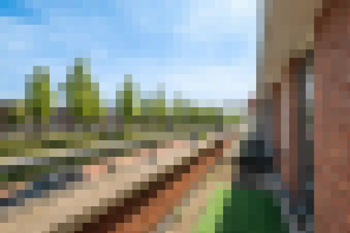 Wartnalaan 32 Den Haag thumbnail 29