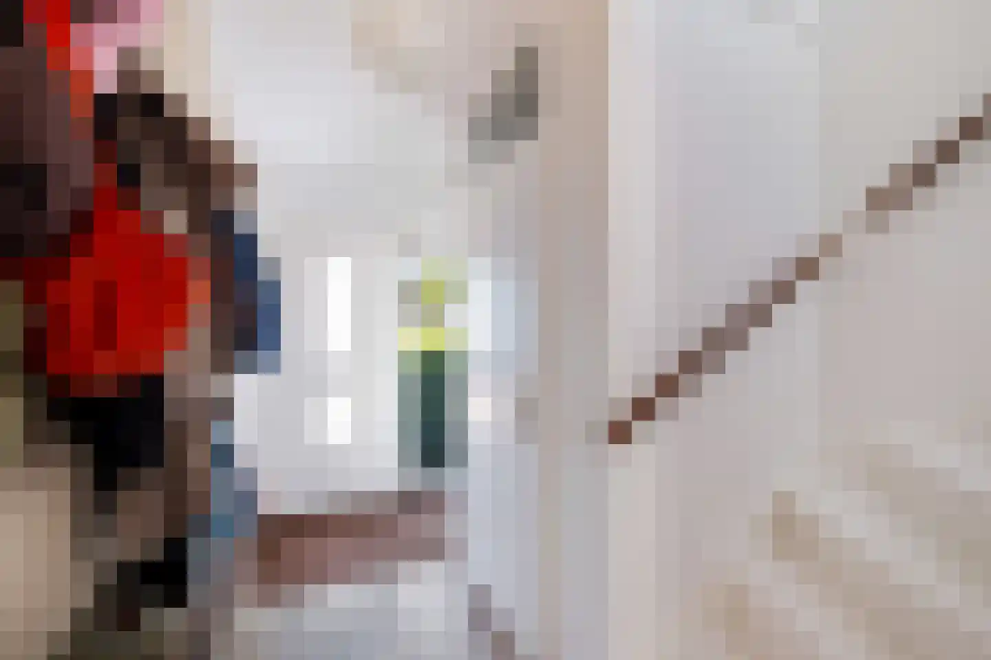 Wartnalaan 32 Den Haag thumbnail 6
