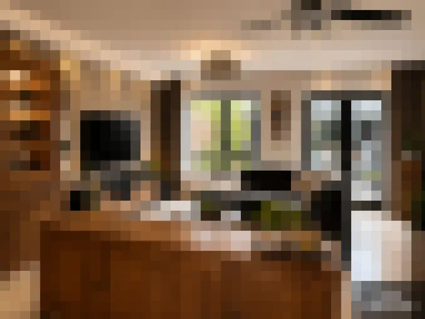 Wartnalaan 4 Den Haag thumbnail 13