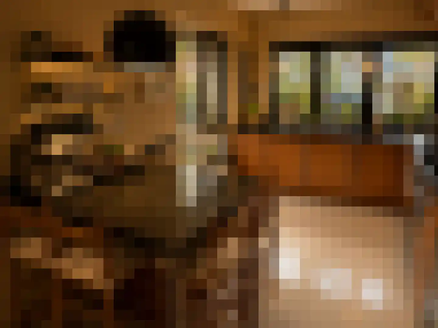 Wartnalaan 4 Den Haag thumbnail 16
