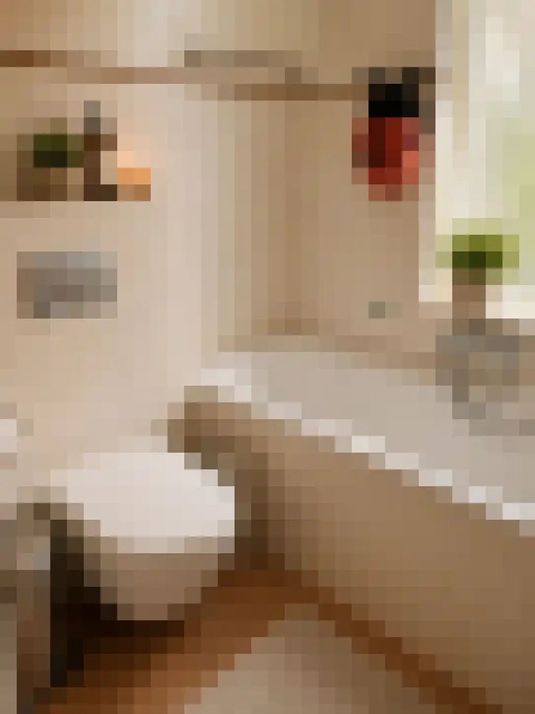 Wartnalaan 4 Den Haag thumbnail 22