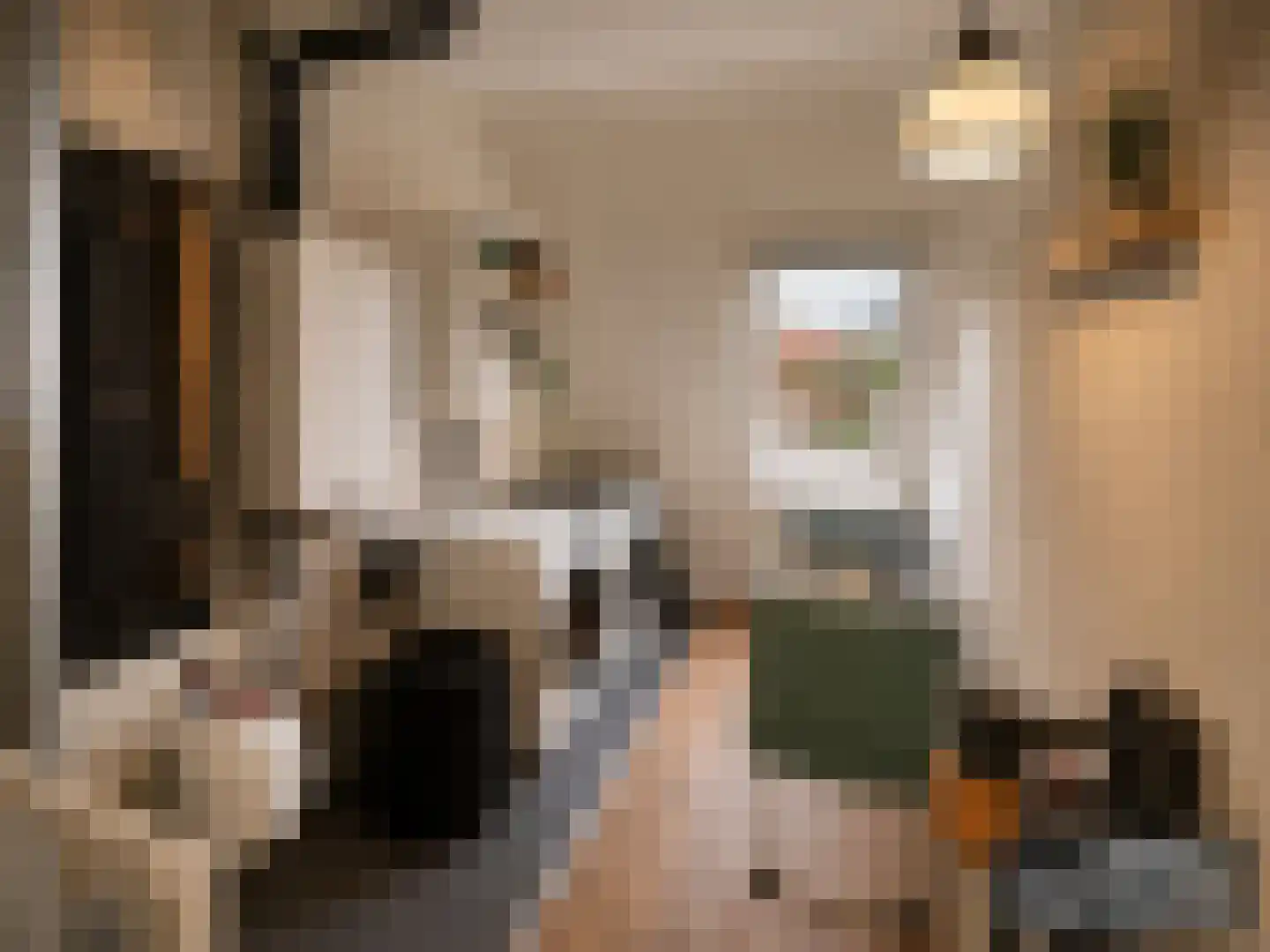 Wartnalaan 4 Den Haag thumbnail 30