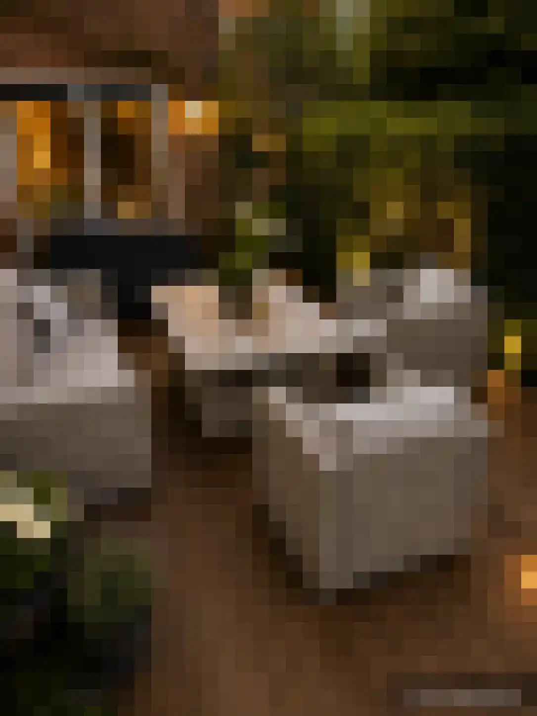 Wartnalaan 4 Den Haag thumbnail 5