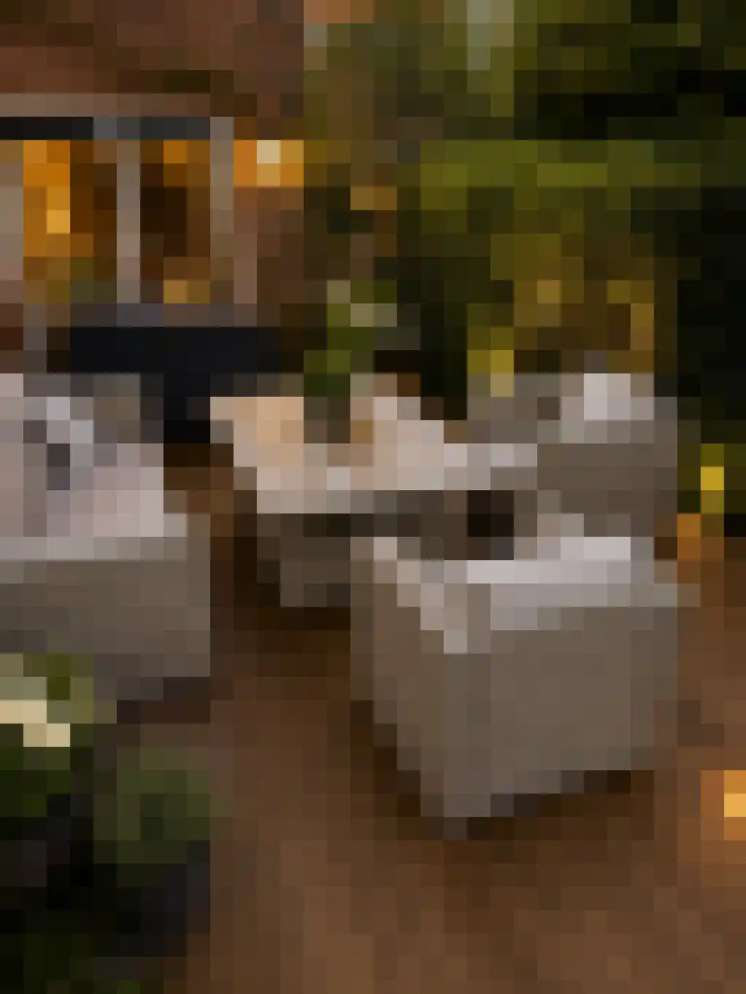 Wartnalaan 4 Den Haag thumbnail 5