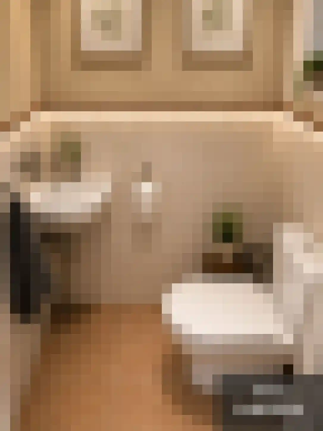 Wartnalaan 4 Den Haag thumbnail 7