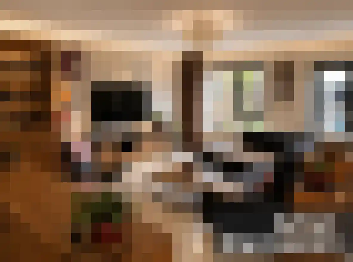 Wartnalaan 4 Den Haag thumbnail 9
