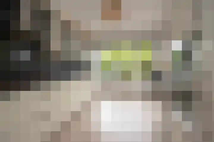 Wartnalaan 6 Den Haag thumbnail 10
