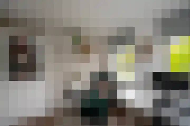 Wartnalaan 6 Den Haag thumbnail 18