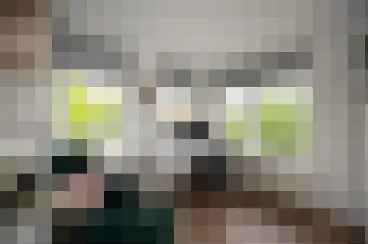 Wartnalaan 6 Den Haag thumbnail 19