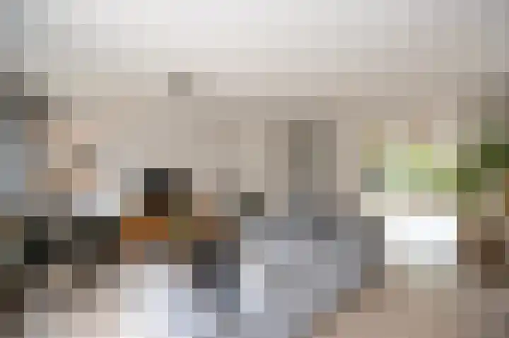 Wartnalaan 6 Den Haag thumbnail 6