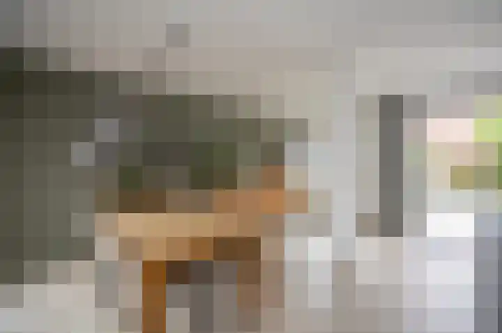Wartnalaan 6 Den Haag thumbnail 7