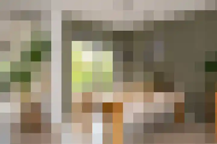 Wartnalaan 6 Den Haag thumbnail 8