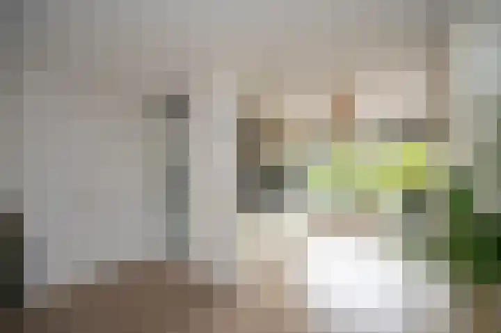 Wartnalaan 6 Den Haag thumbnail 9