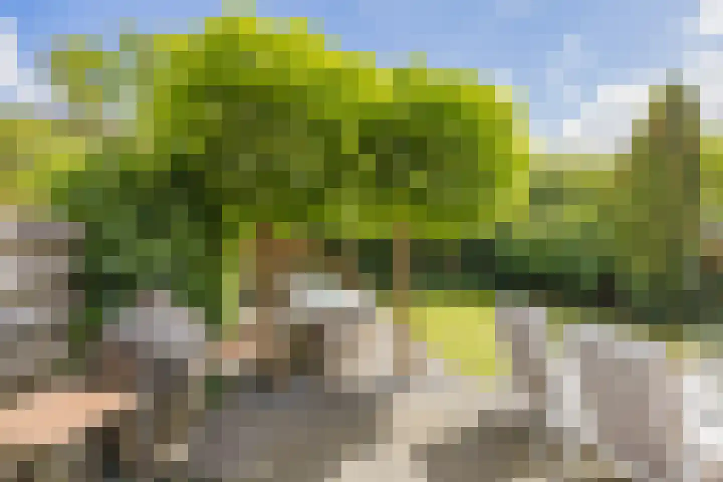 Warwijcksepoort 13 Nieuw-Vennep thumbnail 59