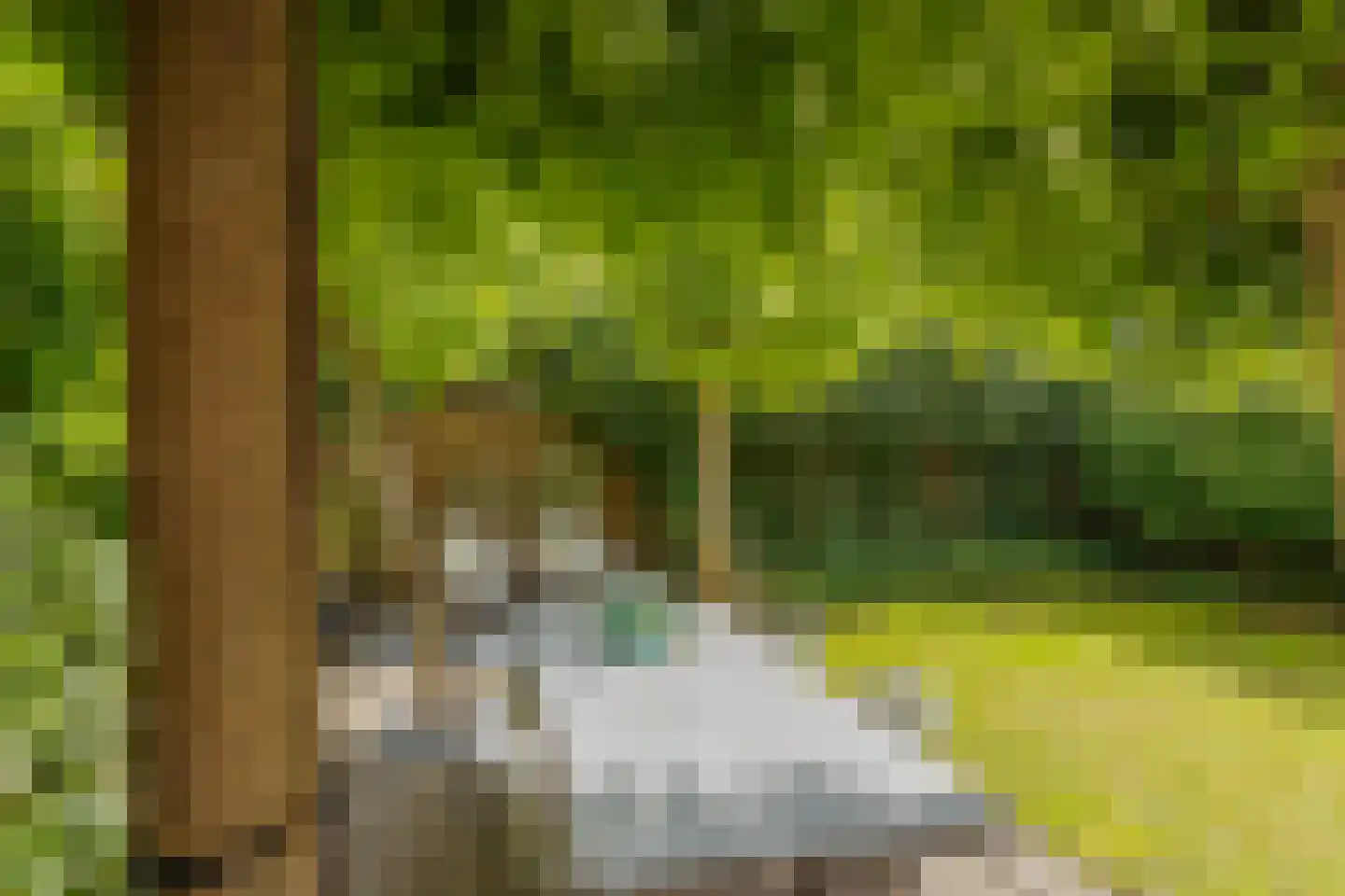 Warwijcksepoort 13 Nieuw-Vennep thumbnail 60