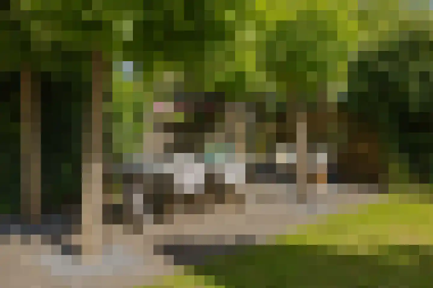 Warwijcksepoort 13 Nieuw-Vennep thumbnail 62