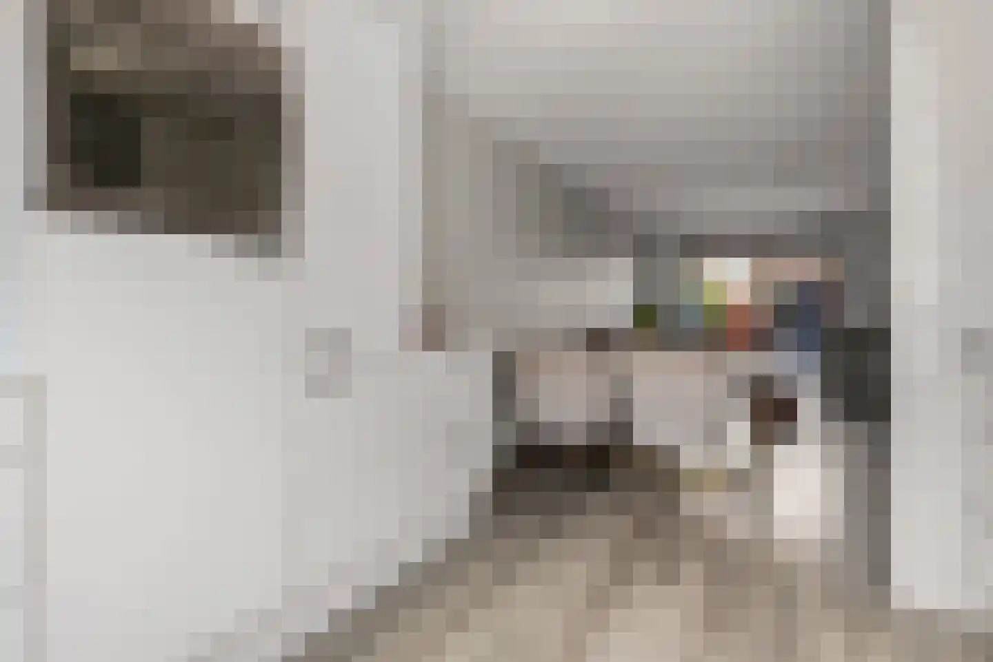 Warwijcksepoort 30 Nieuw-Vennep thumbnail 10