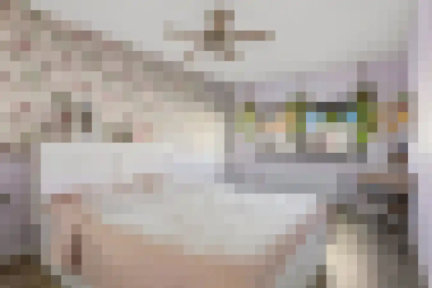 Warwijcksepoort 30 Nieuw-Vennep thumbnail 18