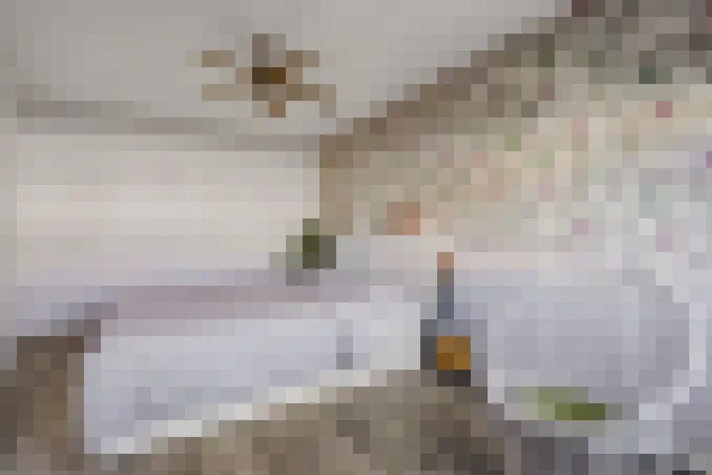 Warwijcksepoort 30 Nieuw-Vennep thumbnail 20