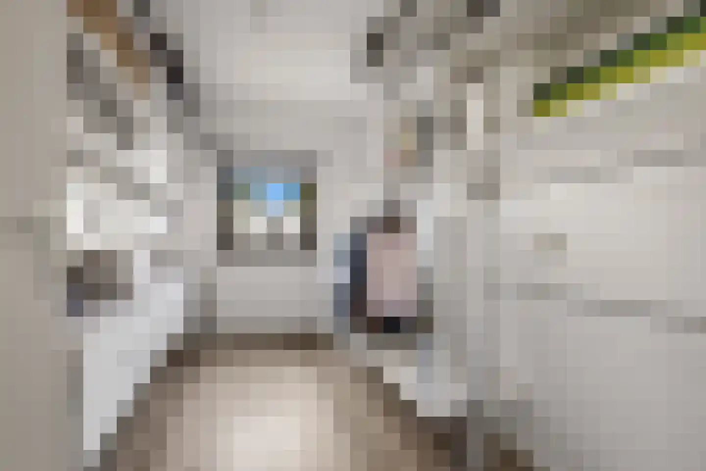 Warwijcksepoort 30 Nieuw-Vennep thumbnail 24