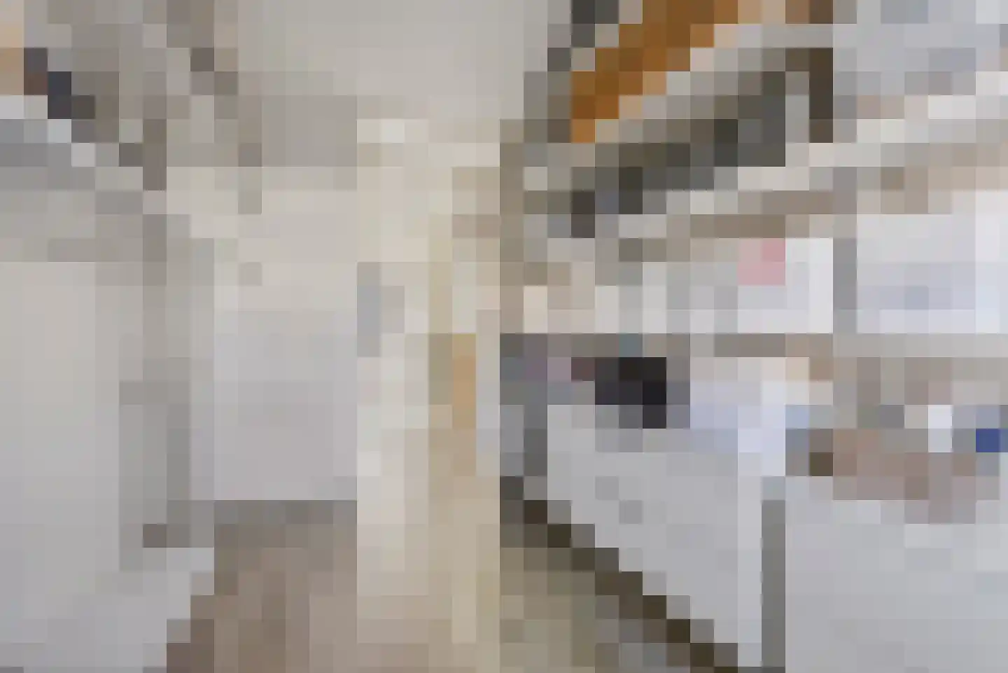 Warwijcksepoort 30 Nieuw-Vennep thumbnail 25