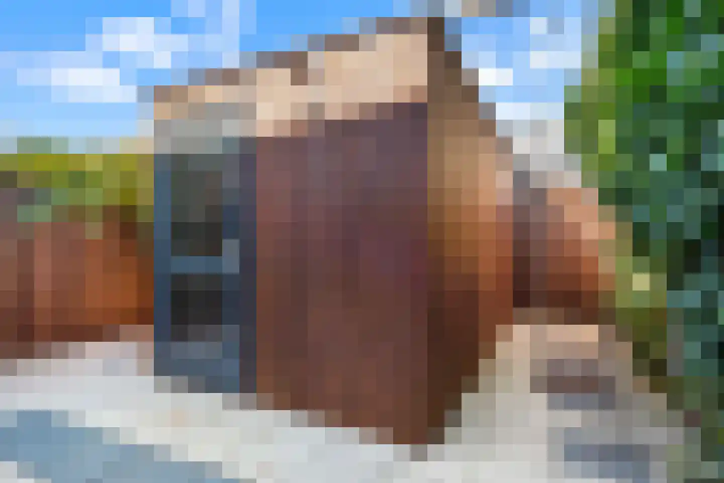 Warwijcksepoort 30 Nieuw-Vennep thumbnail 39