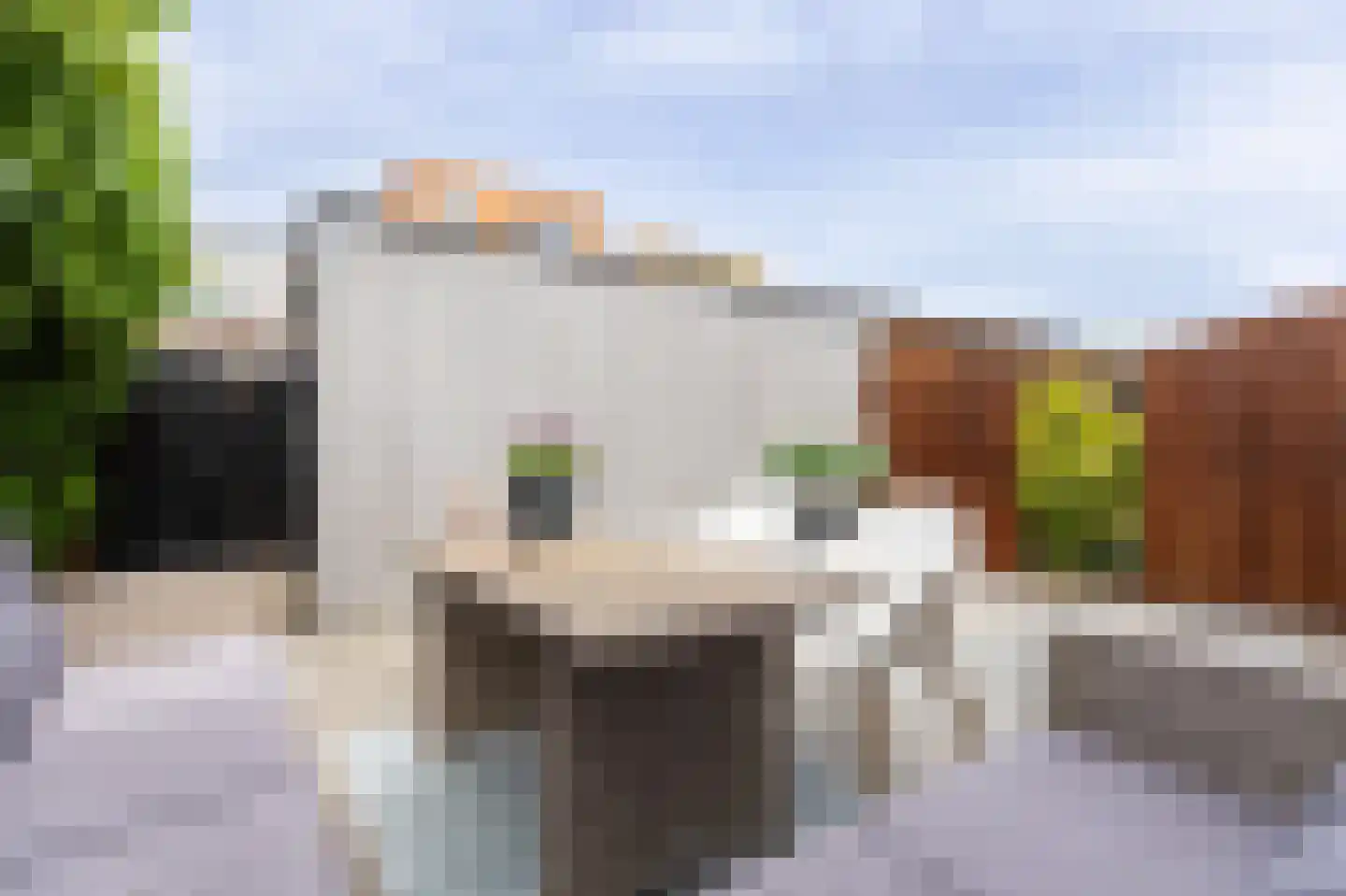Warwijcksepoort 32 Nieuw-Vennep thumbnail 14