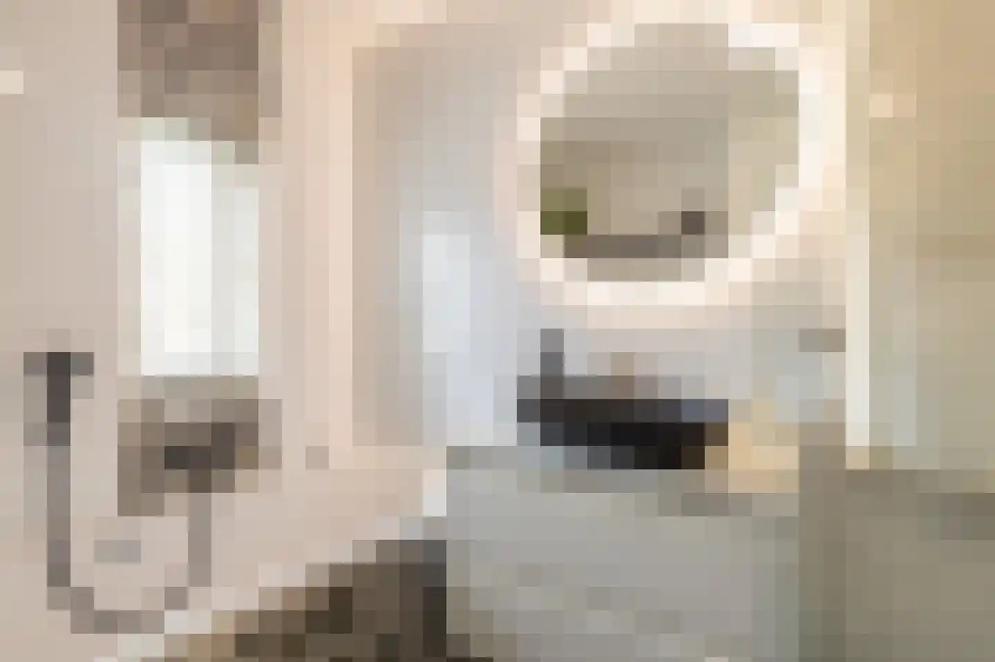 Warwijcksepoort 32 Nieuw-Vennep thumbnail 24