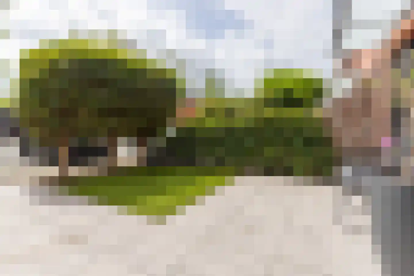 Warwijcksepoort 32 Nieuw-Vennep thumbnail 32