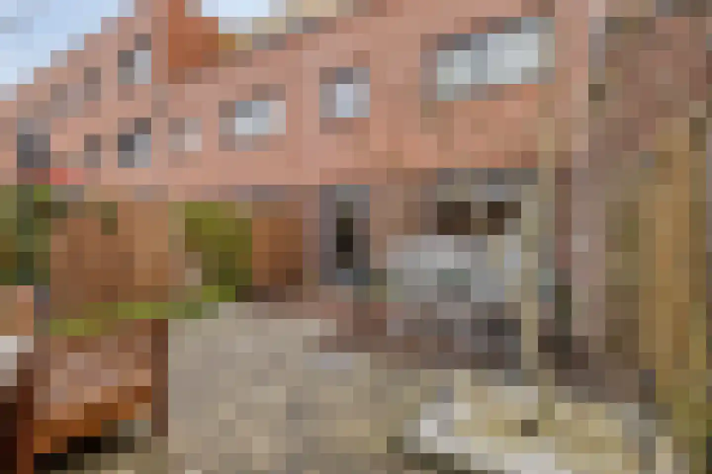 Warwijcksepoort 36 Nieuw-Vennep thumbnail 26