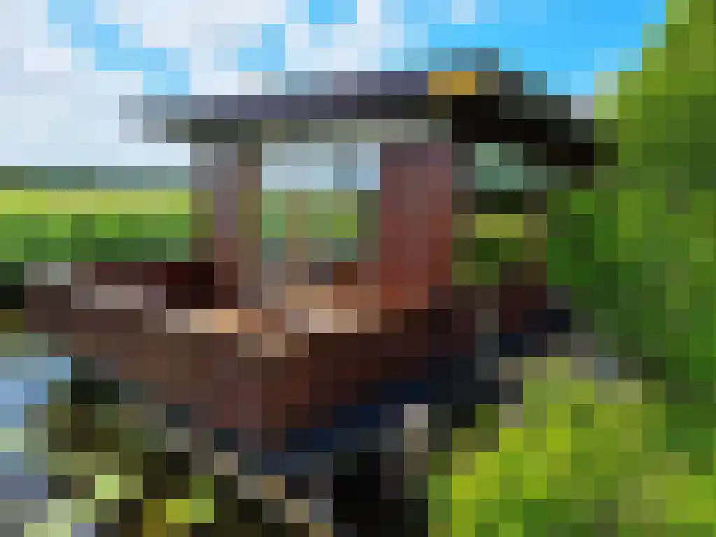 Wasbeeklaan 31 Warmond thumbnail 12