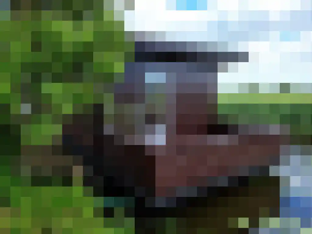Wasbeeklaan 31 Warmond thumbnail 13