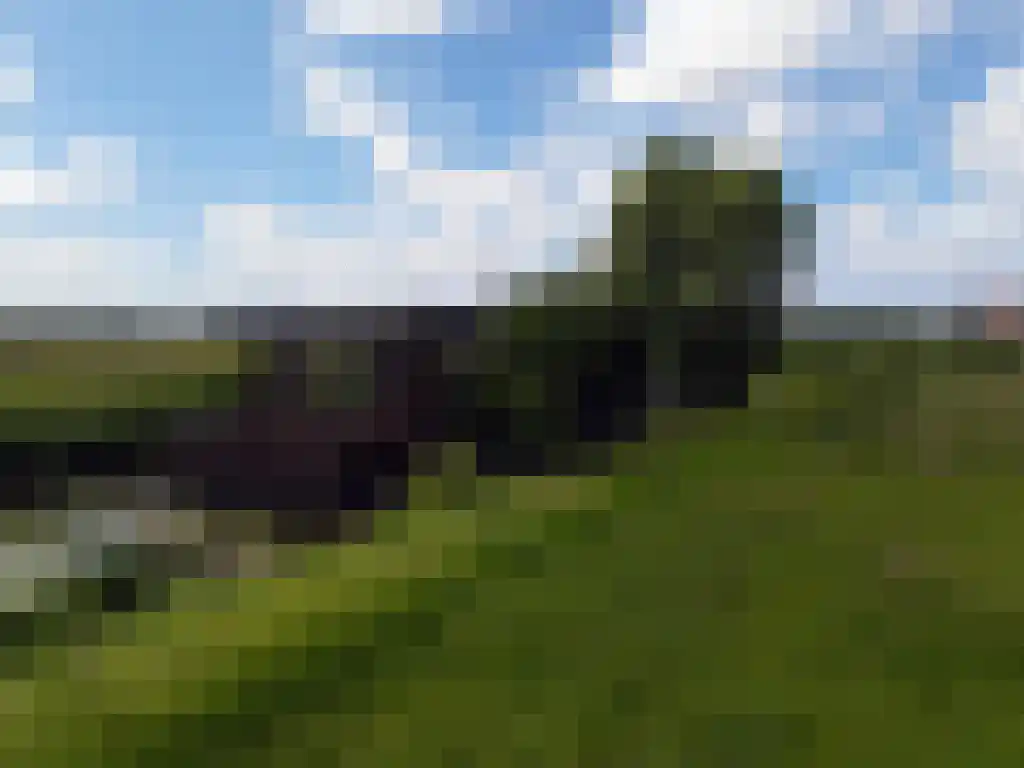Wasbeeklaan 31 Warmond thumbnail 18