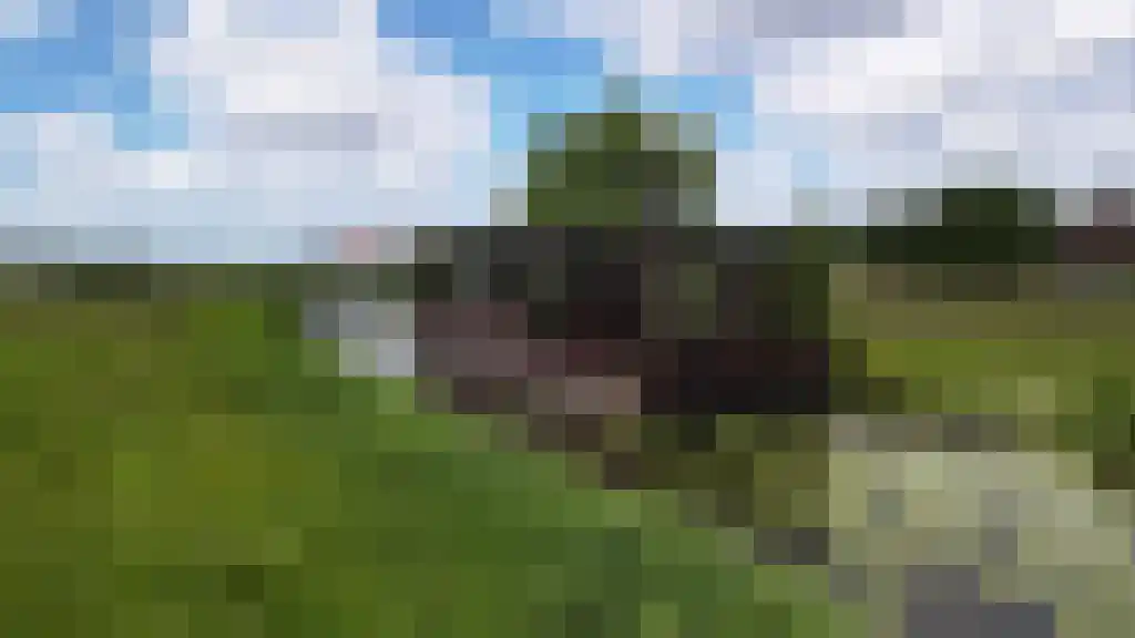 Wasbeeklaan 31 Warmond thumbnail 19