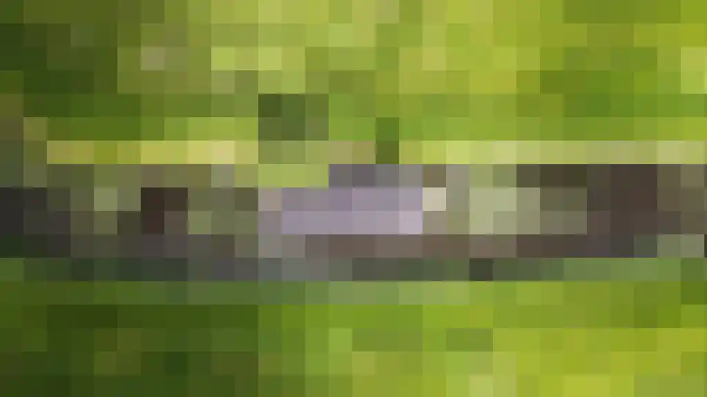 Wasbeeklaan 31 Warmond thumbnail 20