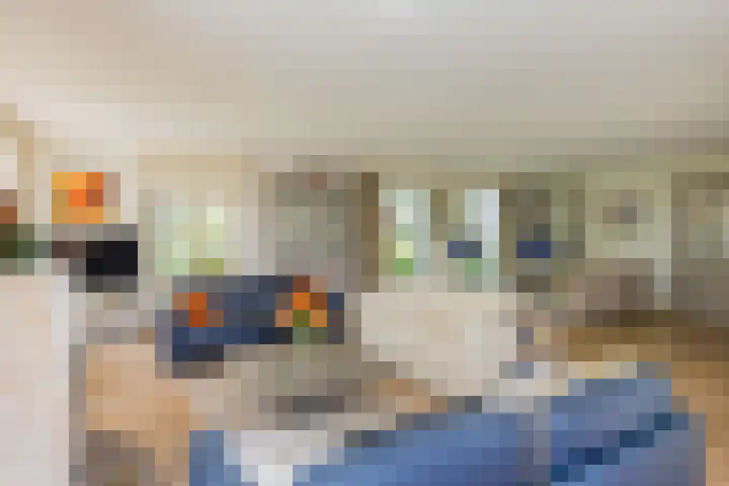 Wasbeeklaan 37 Warmond thumbnail 10