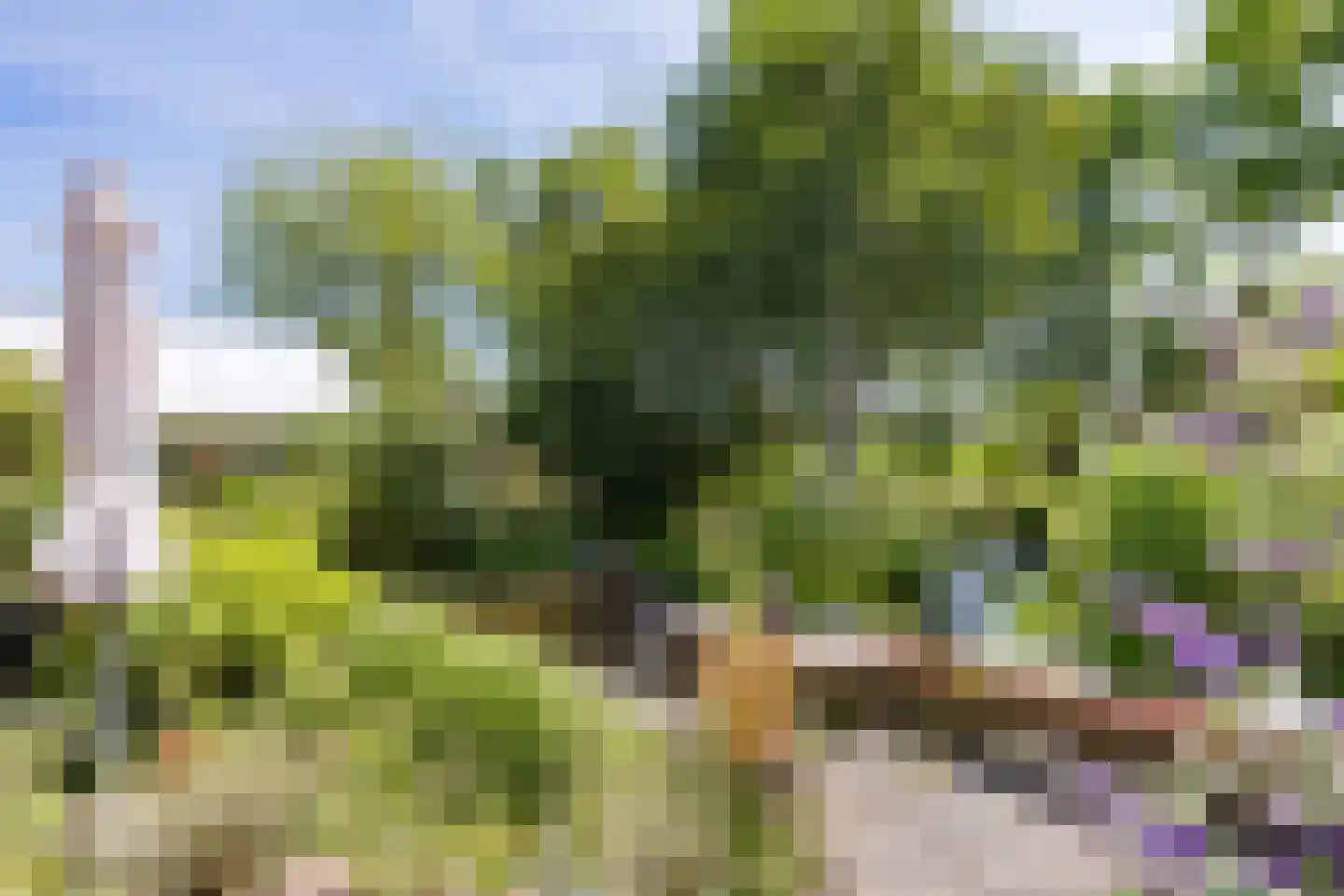 Wasbeeklaan 37 Warmond thumbnail 22