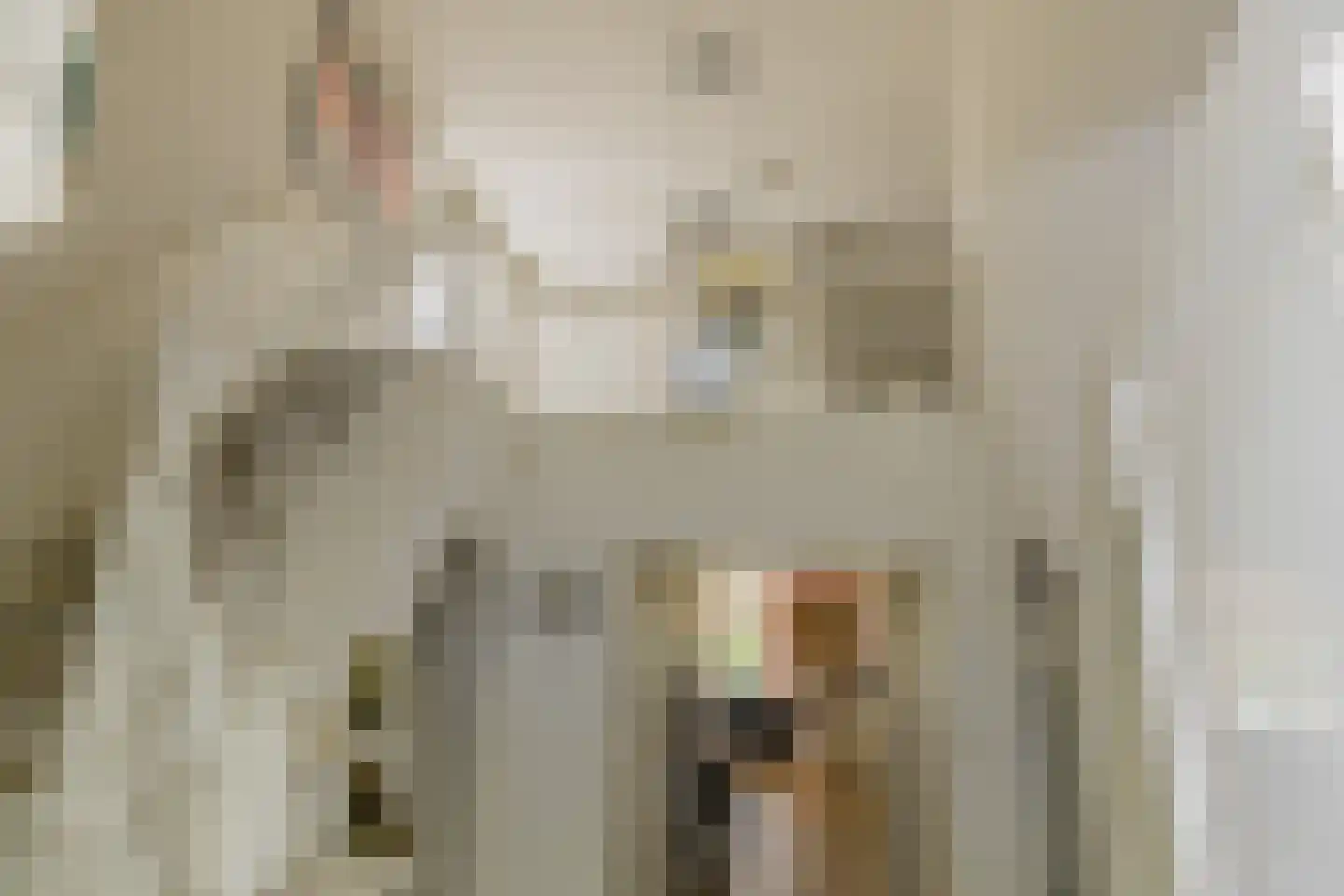 Wasbeeklaan 37 Warmond thumbnail 31