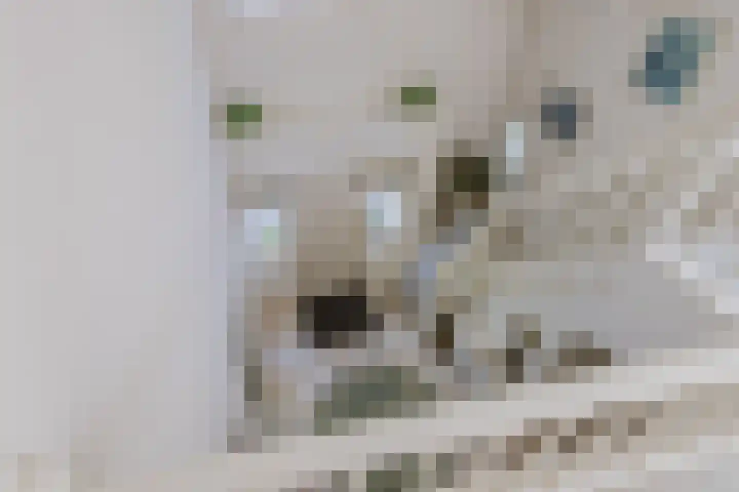 Wasbeeklaan 37 Warmond thumbnail 32