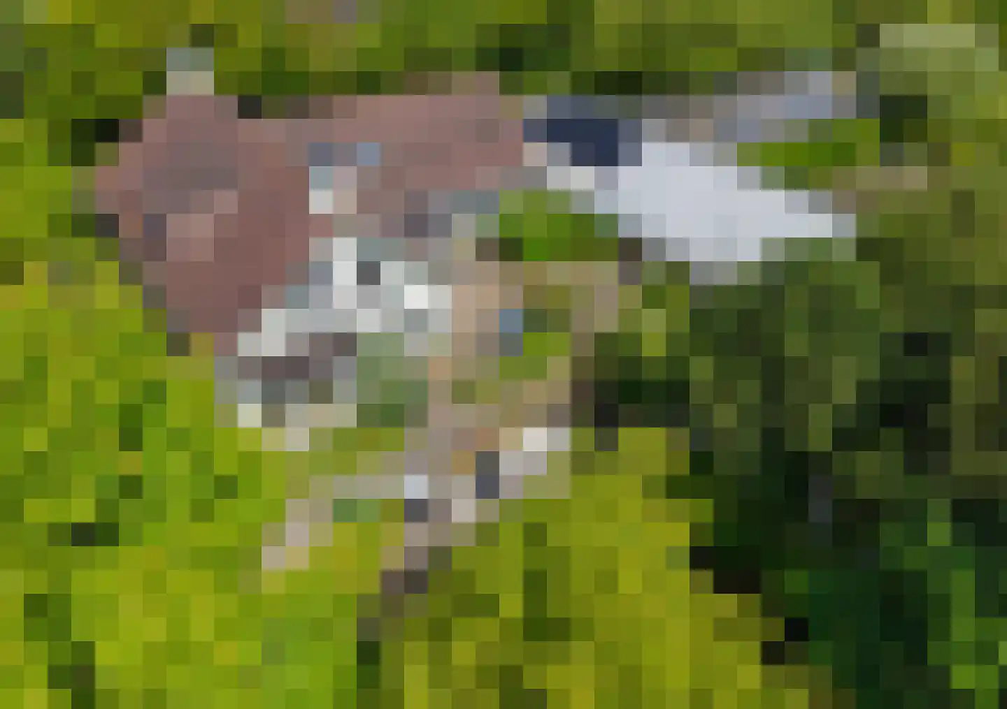 Wasbeeklaan 37 Warmond thumbnail 4