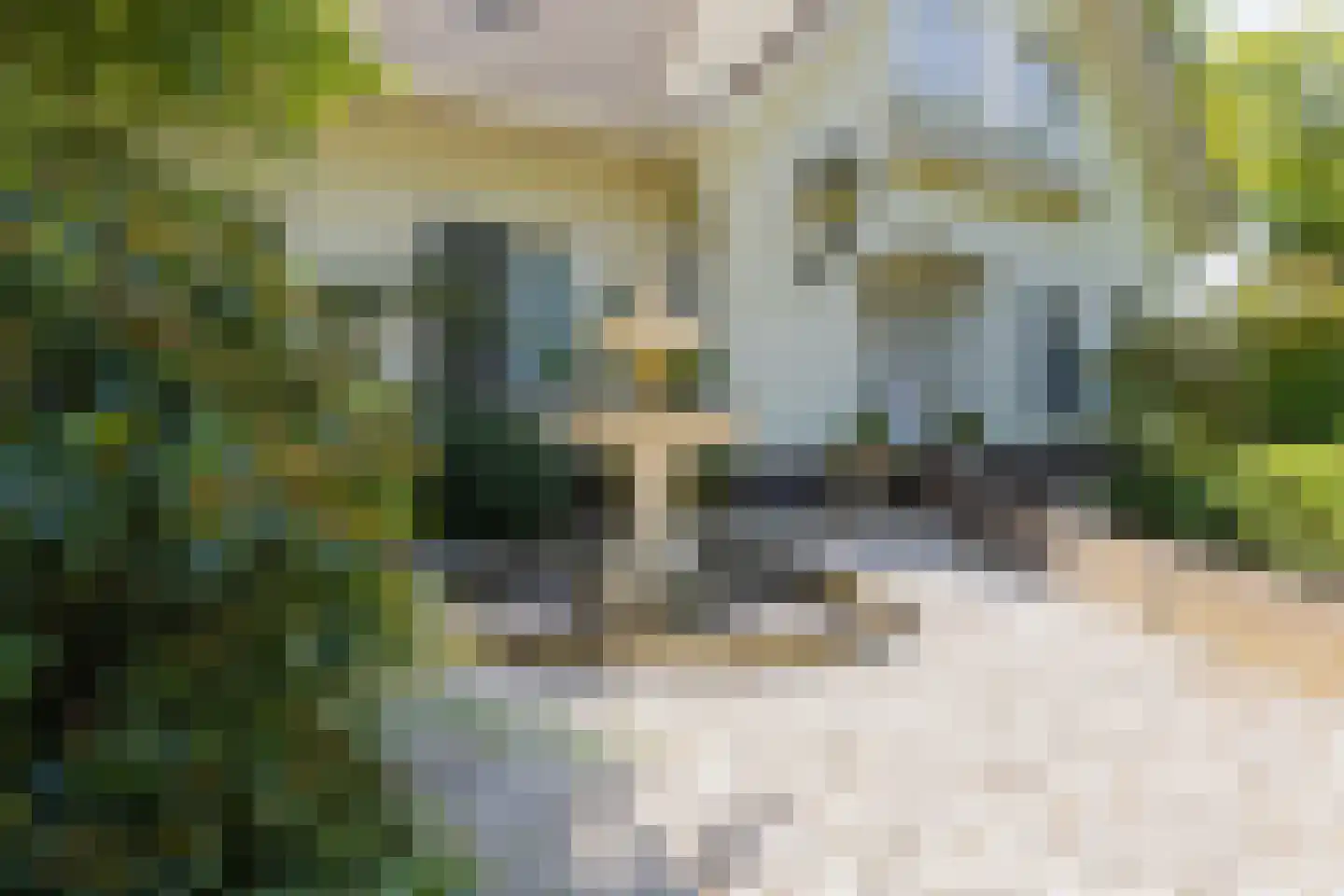 Wasbeeklaan 37 Warmond thumbnail 47