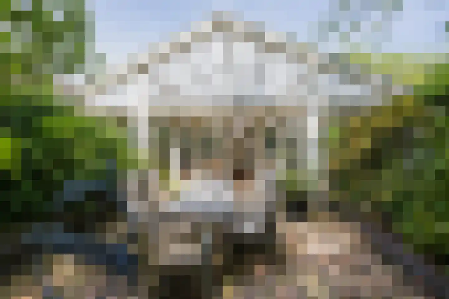Wasbeeklaan 37 Warmond thumbnail 52