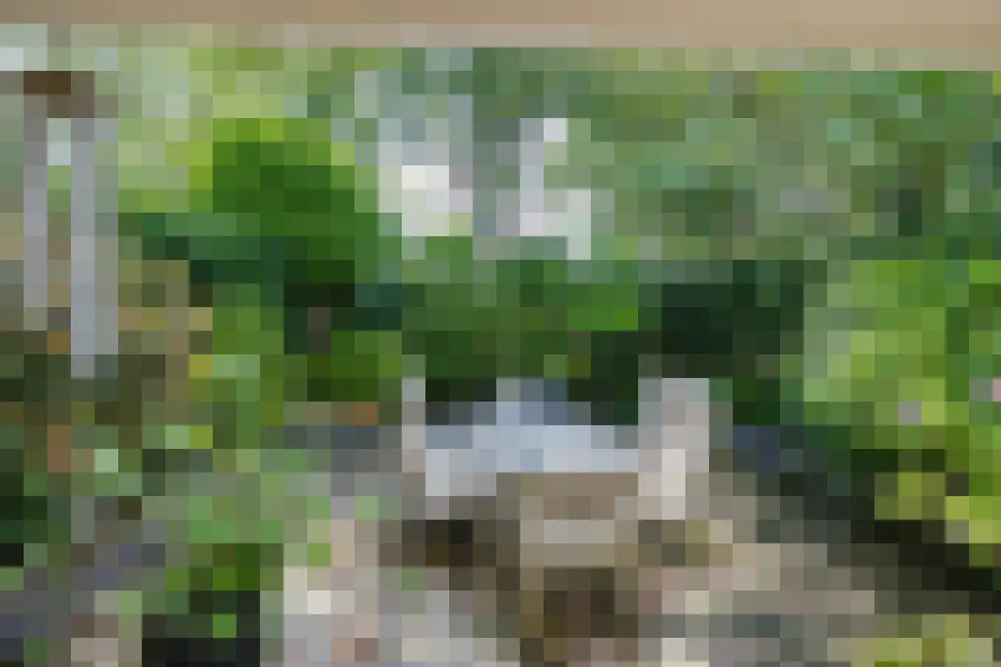 Wasbeeklaan 37 Warmond thumbnail 58